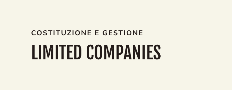 limited compamies, hamilton holding international